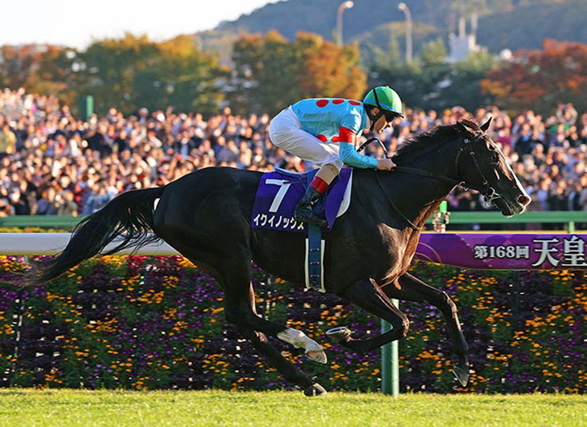 Equinox_PRINT_JRA_1.jpg
