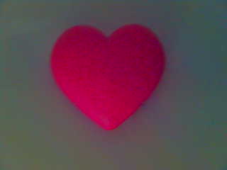 Picture_13_.jpg