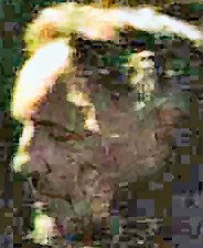 jacob2.jpg