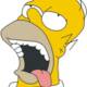 Homer_Simpson.jpg