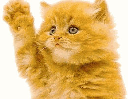 118994841751297.gif