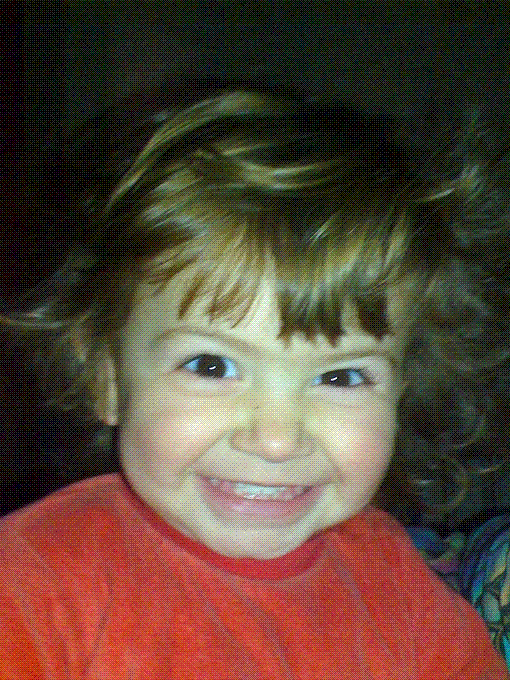 DSC00049.GIF