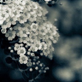 post_25_1234300998.jpg