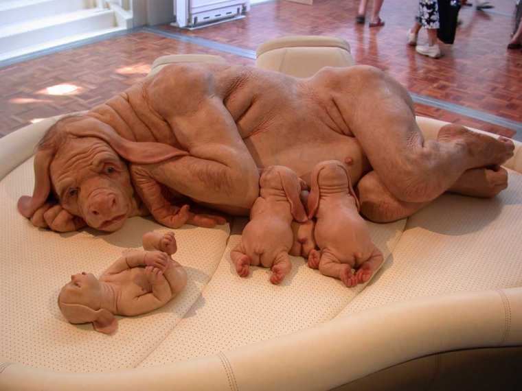 disturbing_pictures.jpg