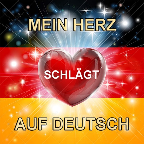 qQGTUhAhqP0.jpg