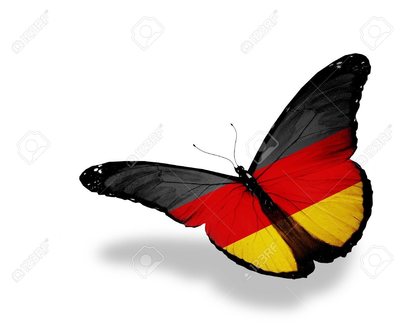 14002301_german_flag_butterfly_flying_isolated_on_white_background.jpg