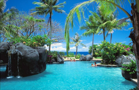 Paradise_2003.JPG