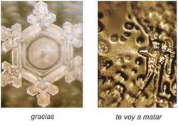 _masaru_emoto_729079_custom.jpeg