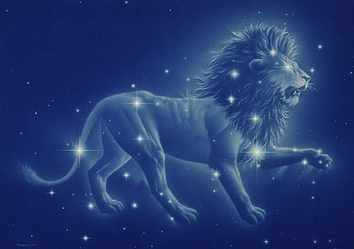 leo.jpg