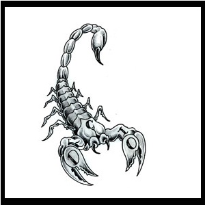 Scorpio_Tattoos_2.jpg