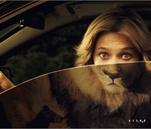 ad_lion_photography_woman_zoo_d579a9de8f85942b8c18749b6978d505_m.jpg