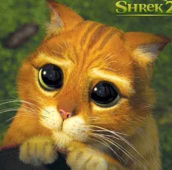 shrek_cat.jpg