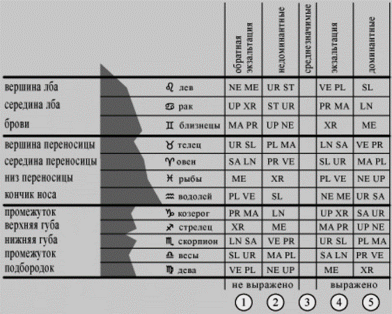 izo6.gif