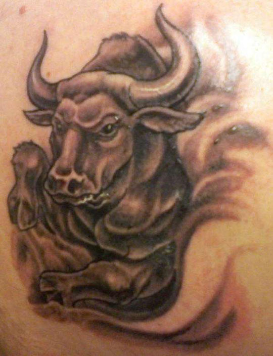 taurus1.jpg