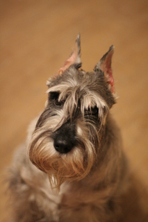 img7070kw4.jpg
