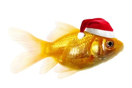christmas_fish.jpg