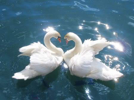 twin_flame_love64.jpg