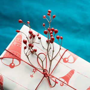 gift_guide_good_house_300.jpg