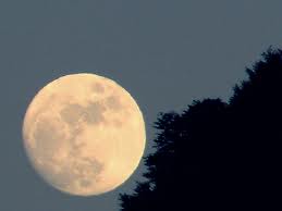 images__34_.jpg