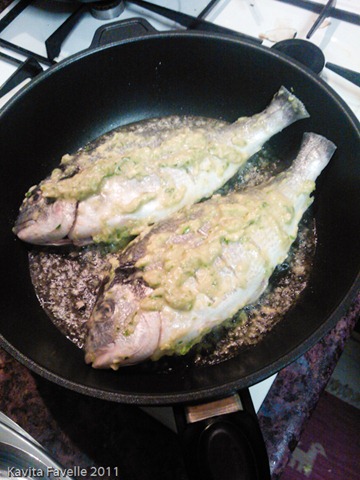 Allegra_Fish_0000757.jpg
