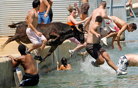 090709_01_bull_running_sea_big.jpg
