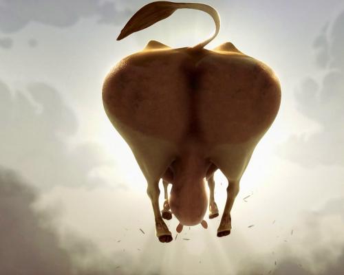 cow2.jpg