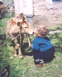 bochola.jpg