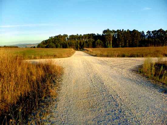 crossroads_fork_in_the_road.jpg