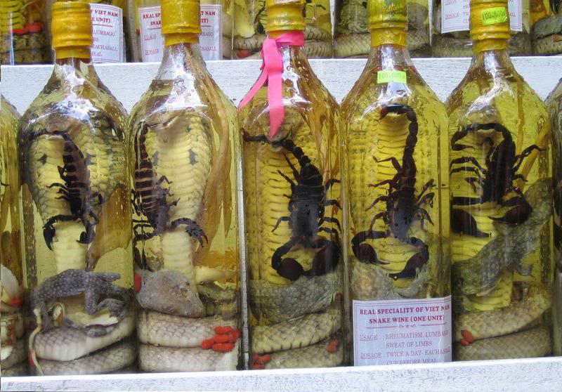 cobra_and_scorpion_wine.jpg