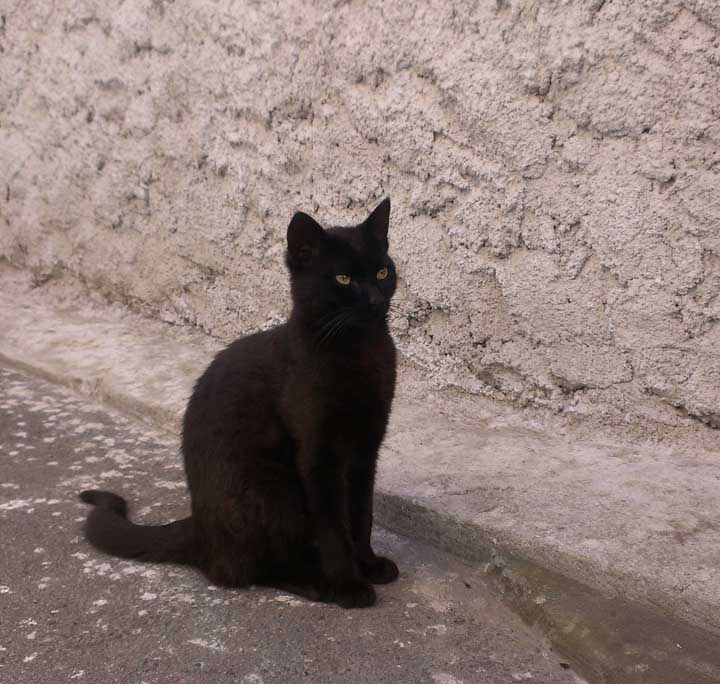 01.jpg