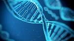 Dna.jpg