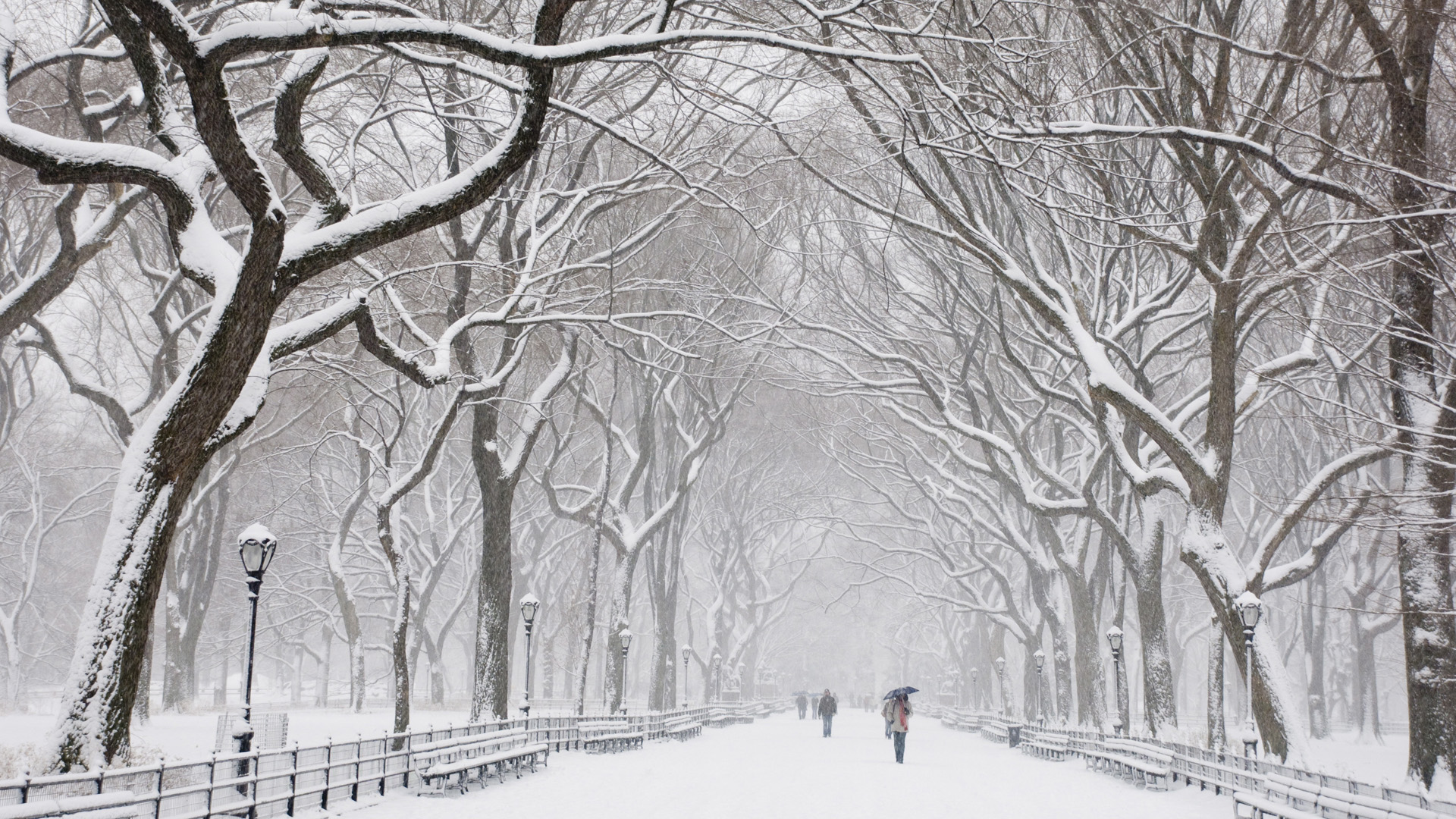 A_Heavy_Snow_Falling_People_Are_Not_in_a_Hurry_to_Go_Everything_is_Decorated_with_a_White_Cloth_Indeed_Good_Looking_HD_Snowy_Scenery_Wallpaper.jpg