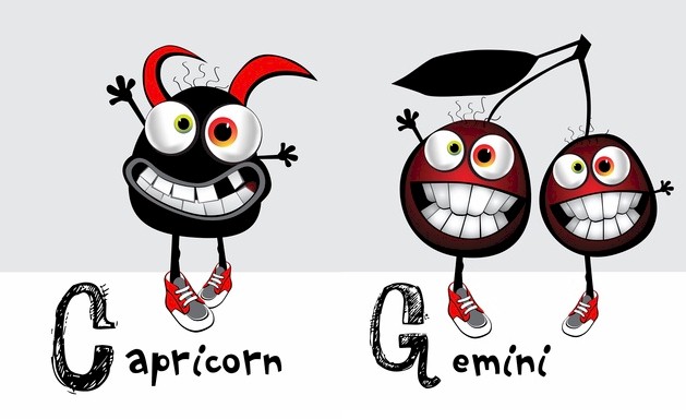 capricorn_gemini.jpg