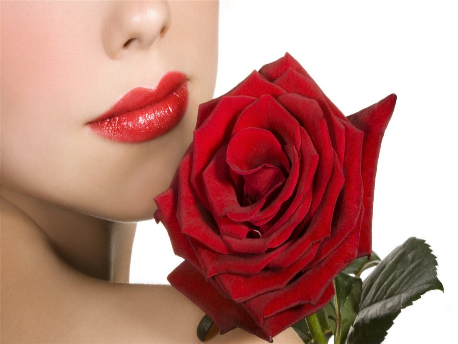 women_s_day_flowers_wallpaper_other.jpg