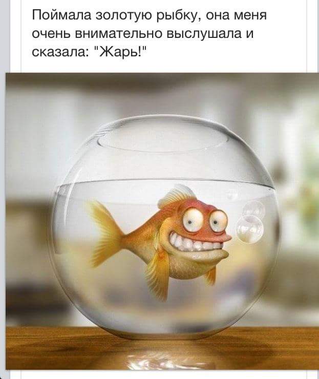 FB_IMG_1457339019802.jpg