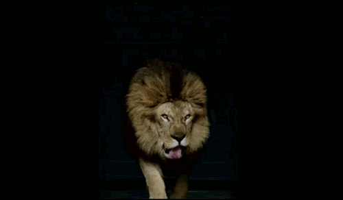 avatar_21288_1453826169.gif