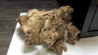 200w__15_.gif