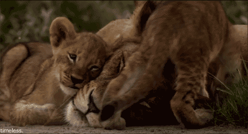 tumblr_npdcf2GlpI1spy7ono1_500.gif