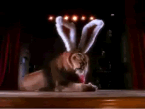 cadbury_lion.gif