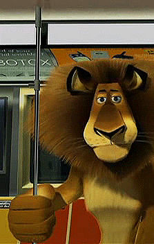tumblr_m5cnhs5rrI1r6rc3ao1_r2_250.gif