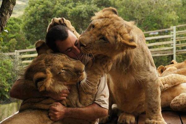 Hug_with_lions_zps6f3355e6.jpg