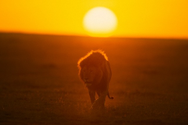 corbis_42_25856792.jpg
