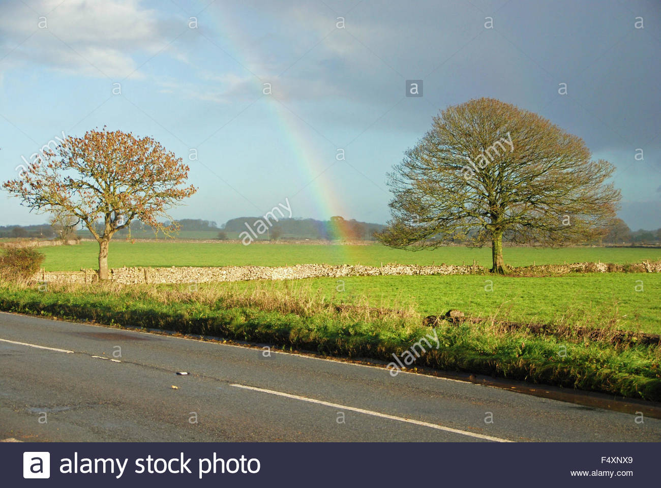 rainbow_between_two_trees_in_the_field_sun_and_rain_on_a_sunny_rainy_F4XNX9.jpg