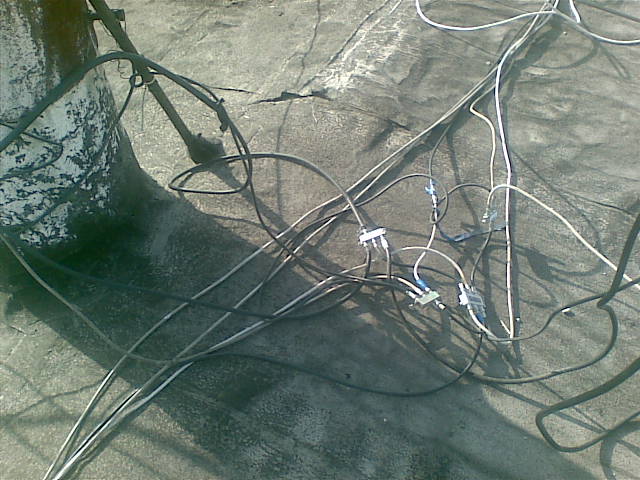 07062007_002_.jpg