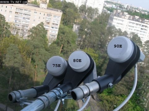 1233132545_p5140263.jpg