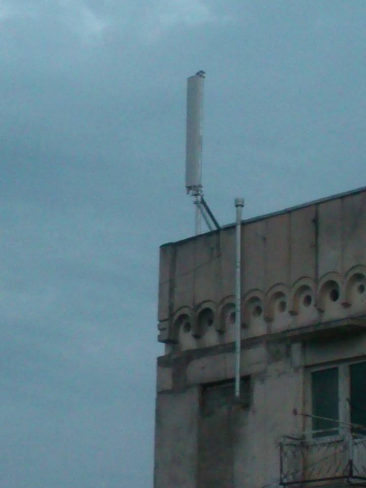 antena.jpg