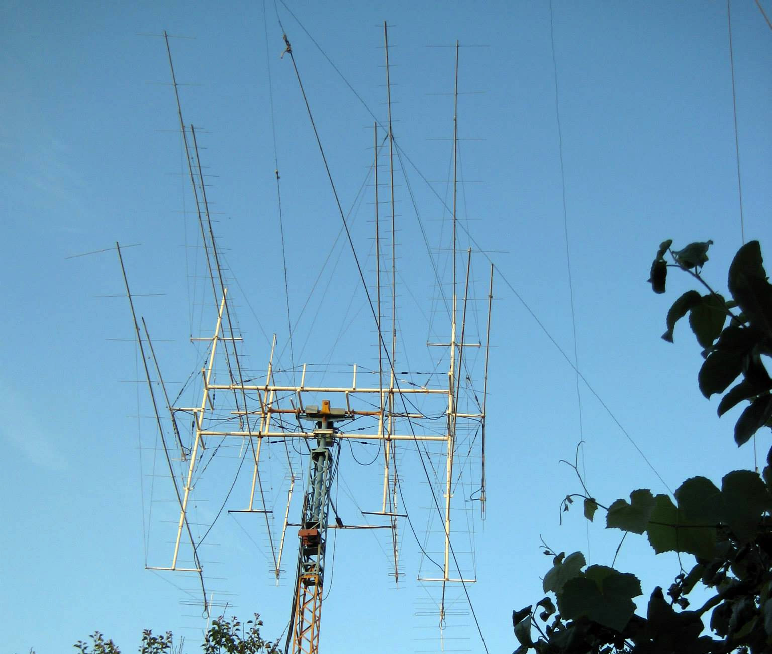 uy5hf2.jpg