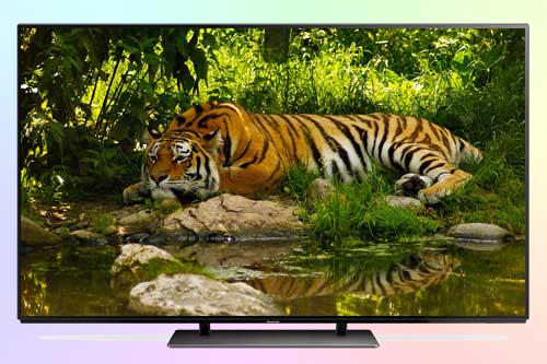ultrahd.su_Panasonic_TX_55EZR950.jpg