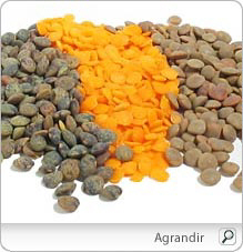 lentille_nu_1.jpg
