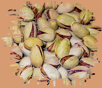 pistazien1.jpg